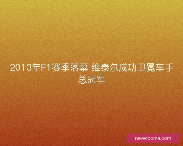 2013年F1赛季落幕 维泰尔成功卫冕车手总冠军