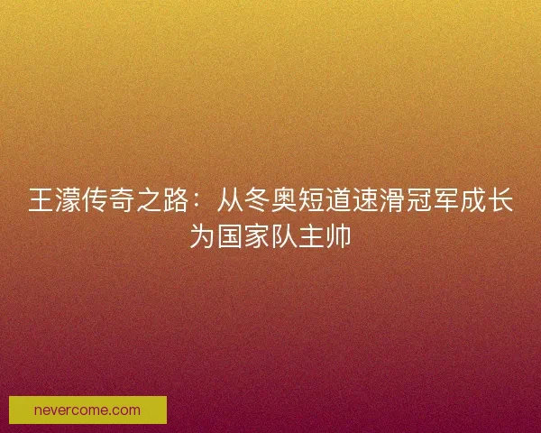 王濛传奇之路：从冬奥短道速滑冠军成长为国家队主帅