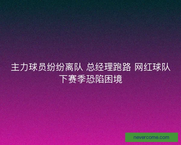 主力球员纷纷离队 总经理跑路 网红球队下赛季恐陷困境